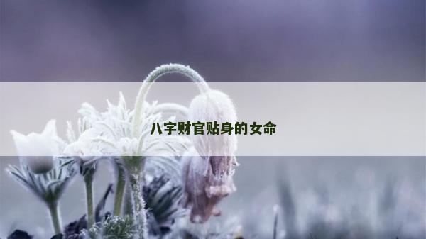 八字財官貼身的女命 八字財官貼身的女命