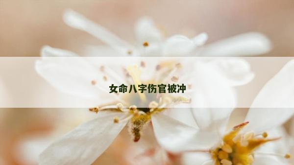 女命八字傷官被沖