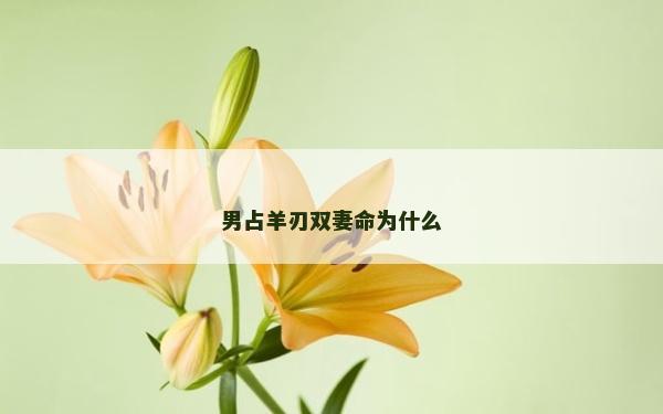 男占羊刃雙妻命為什么