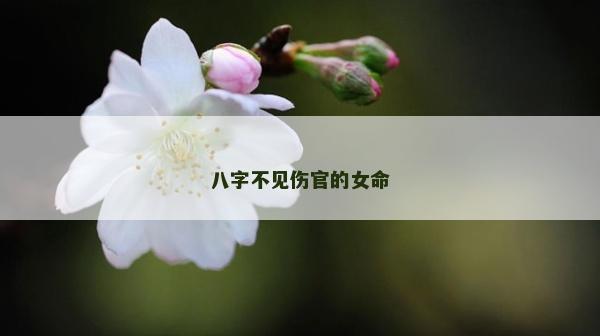 八字不見傷官的女命