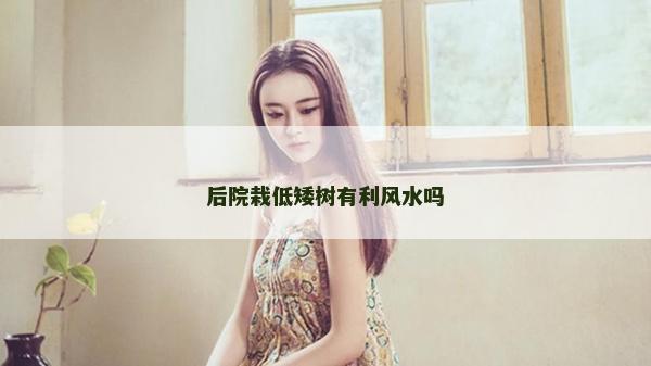 后院栽低矮樹有利風水嗎
