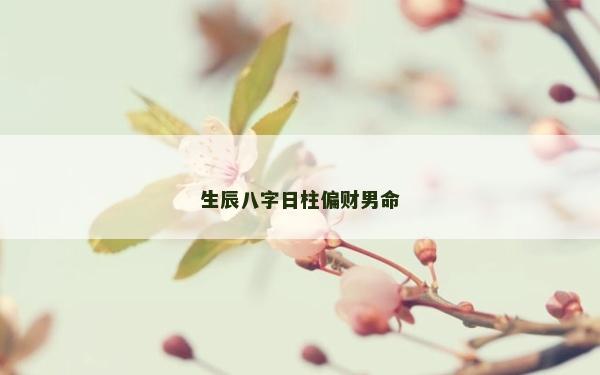 生辰八字日柱偏財男命