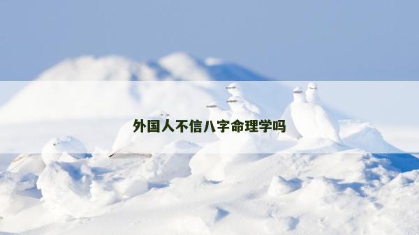 外國人不信八字命理學嗎