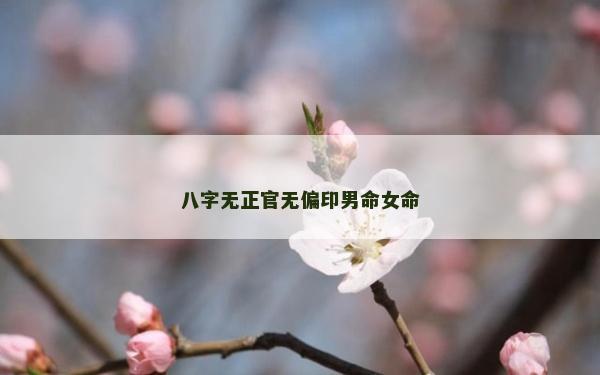 八字無正官無偏印男命女命