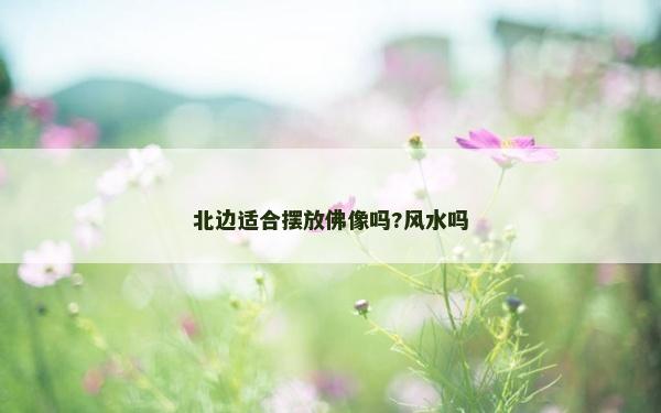 北邊適合擺放佛像嗎?風(fēng)水嗎