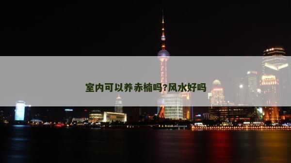 室內(nèi)可以養(yǎng)赤楠嗎?風(fēng)水好嗎