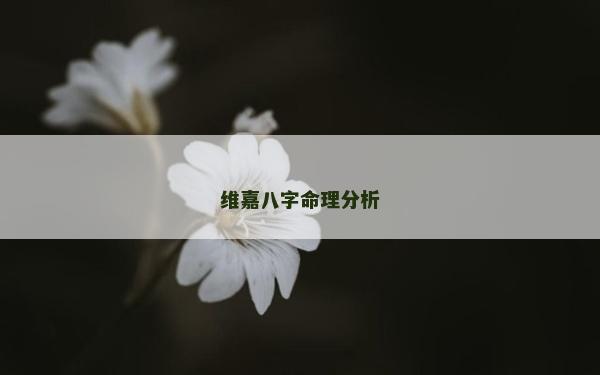 維嘉八字命理分析