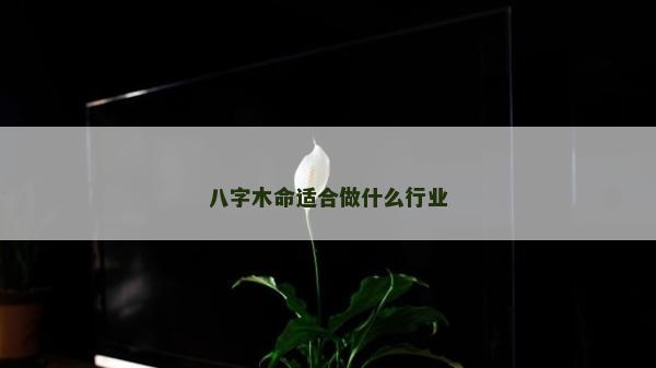 八字木命適合做什么行業(yè)