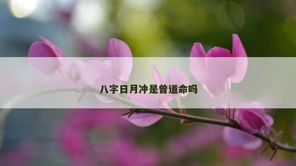 八字日月沖是曾道命嗎