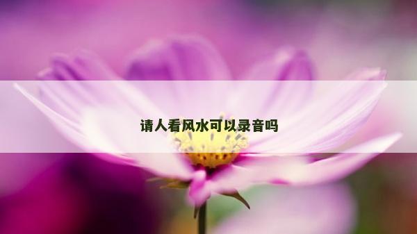 請人看風水可以錄音嗎
