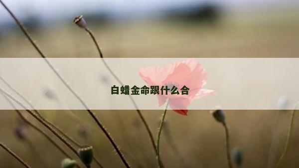 白蠟金命跟什么合