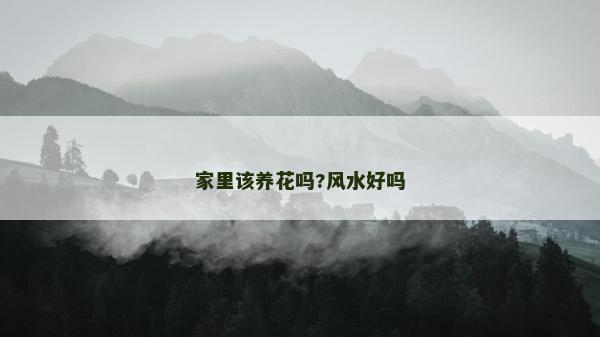 家里該養花嗎?風水好嗎