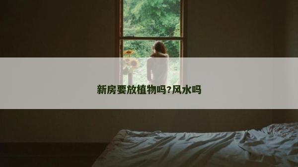 新房要放植物嗎?風水嗎