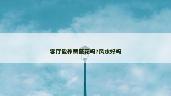 客廳能養(yǎng)薔薇花嗎?風(fēng)水好嗎