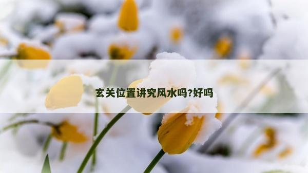 玄關位置講究風水嗎?好嗎