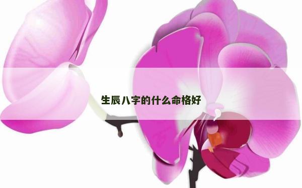 生辰八字的什么命格好