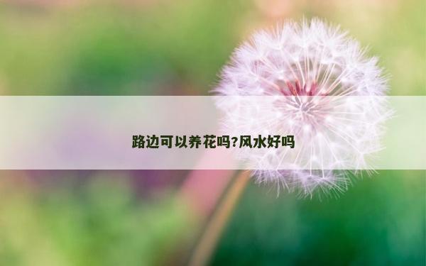 路邊可以養花嗎?風水好嗎
