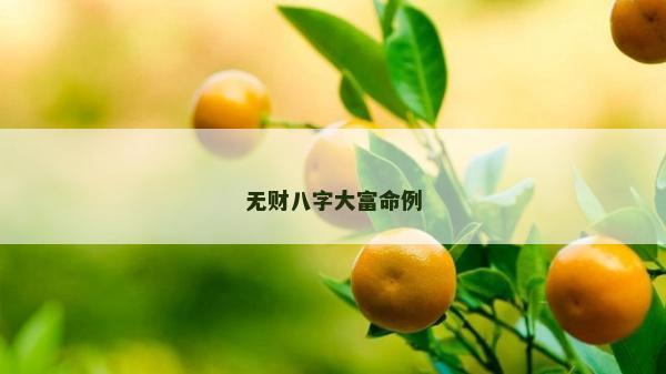 無財八字大富命例 無財八字大富命例