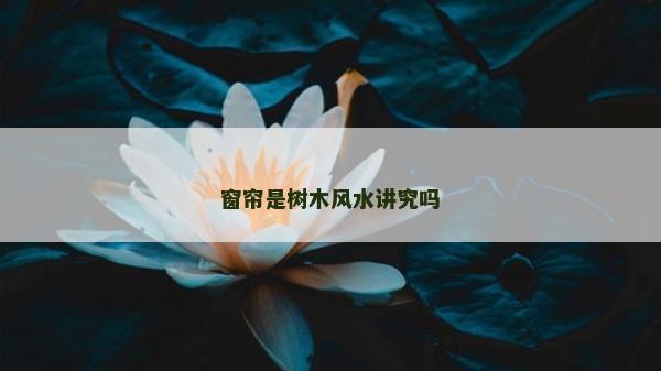 窗簾是樹木風水講究嗎