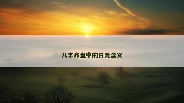 八字命盤中的日元含義