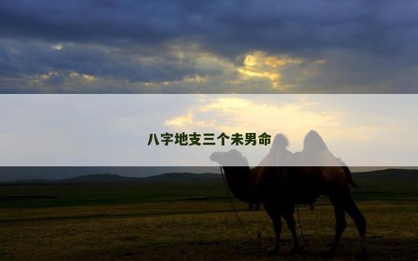 八字地支三個未男命 八字地支三個未男命