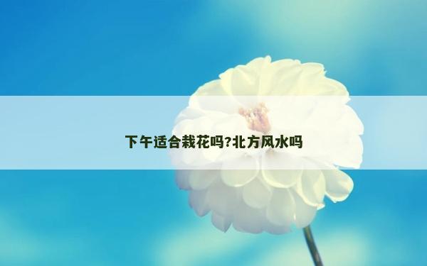 下午適合栽花嗎?北方風(fēng)水嗎