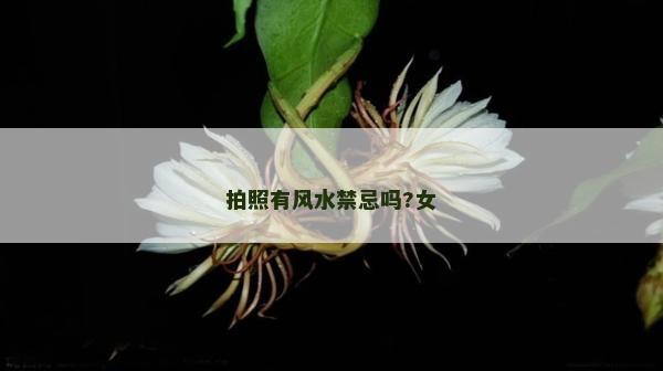 拍照有風水禁忌嗎?女 拍照有風水禁忌嗎?女