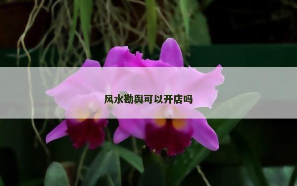 風水勘輿可以開店嗎
