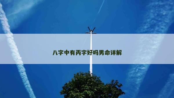 八字中有丙字好嗎男命詳解