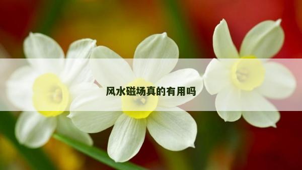 風水磁場真的有用嗎
