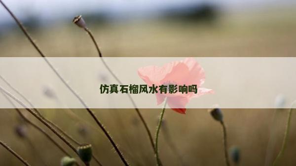 仿真石榴風水有影響嗎