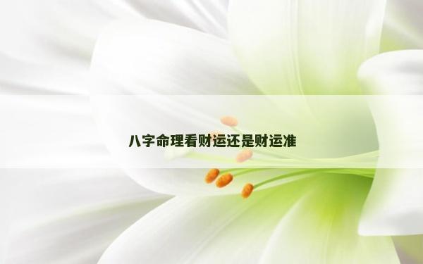 八字命理看財(cái)運(yùn)還是財(cái)運(yùn)準(zhǔn)