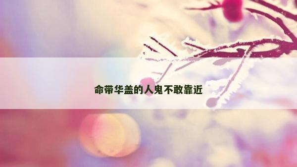 命帶華蓋的人鬼不敢靠近