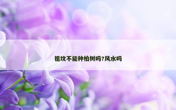 祖墳不能種柏樹嗎?風(fēng)水嗎