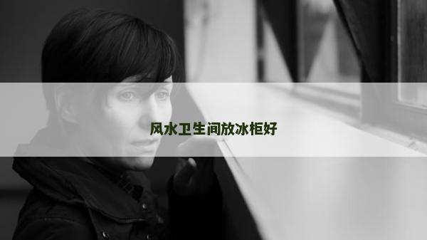 風水衛生間放冰柜好