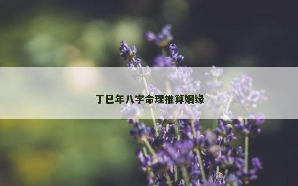 丁巳年八字命理推算姻緣