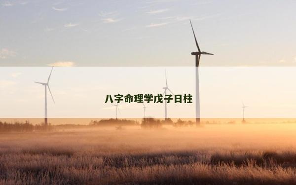 八字命理學戊子日柱 八字命理學戊子日柱