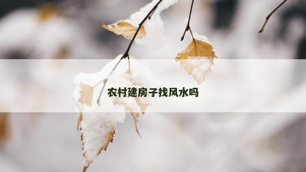 農(nóng)村建房子找風水嗎