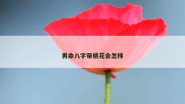 男命八字帶桃花會怎樣