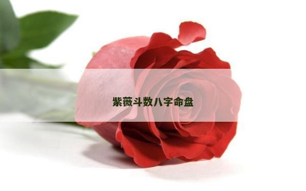 紫薇斗數(shù)八字命盤