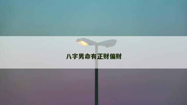 八字男命有正財(cái)偏財(cái)