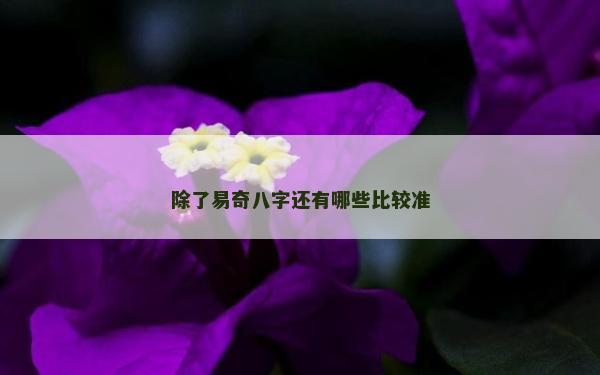 除了易奇八字還有哪些比較準(zhǔn) 除了易奇八字還有哪些比較準(zhǔn)