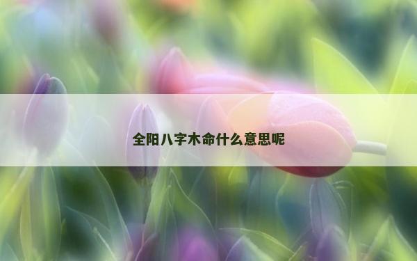 全陽八字木命什么意思呢