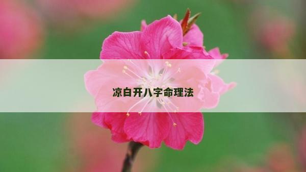 涼白開八字命理法