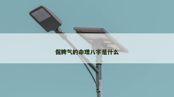 倔脾氣的命理八字是什么