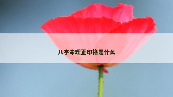 八字命理正印格是什么