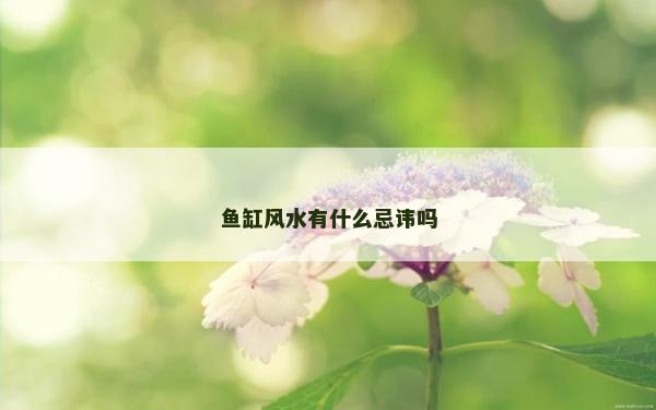 魚缸風水有什么忌諱嗎