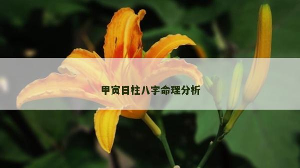 甲寅日柱八字命理分析