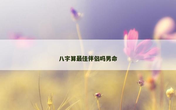 八字算最佳伴侶嗎男命