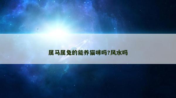 屬馬屬兔的能養(yǎng)貓咪嗎?風(fēng)水嗎